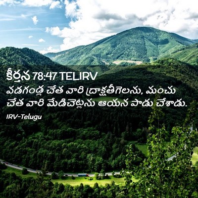 Picture 02 - కీర్తన 78:47 TELIRV - వడగండ్ల చేత వారి - Bible Verse Picture