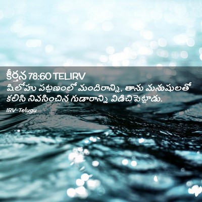 Picture 02 - కీర్తన 78:60 TELIRV - షిలోహు పట్టణంలో - Bible Verse Picture