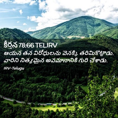 Picture 02 - కీర్తన 78:66 TELIRV - ఆయన తన విరోధులను - Bible Verse Picture