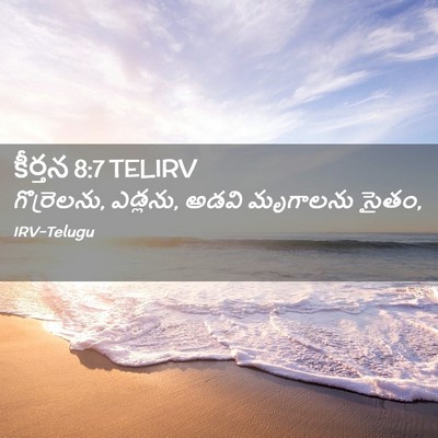 Picture 02 - కీర్తన 8:7 TELIRV - గొర్రెలను, ఎడ్లను, - Bible Verse Picture