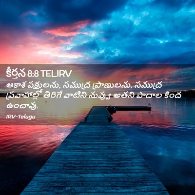 Picture 02 - కీర్తన 8:8 TELIRV - ఆకాశ పక్షులను, - Bible Verse Picture