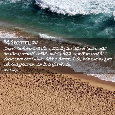 Picture 02 - కీర్తన 80:1 TELIRV - ప్రధాన - Bible Verse Picture