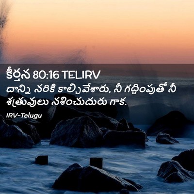 Picture 02 - కీర్తన 80:16 TELIRV - దాన్ని నరికి - Bible Verse Picture