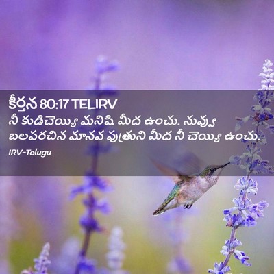 Picture 02 - కీర్తన 80:17 TELIRV - నీ కుడిచెయ్యి - Bible Verse Picture