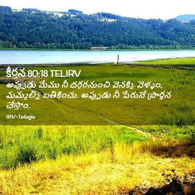 Picture 02 - కీర్తన 80:18 TELIRV - అప్పుడు మేము నీ - Bible Verse Picture