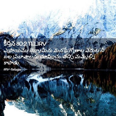 Picture 02 - కీర్తన 80:2 TELIRV - ఎఫ్రాయిము - Bible Verse Picture