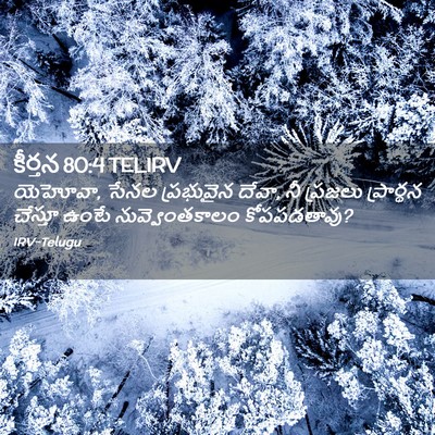 Picture 02 - కీర్తన 80:4 TELIRV - యెహోవా, సేనల - Bible Verse Picture