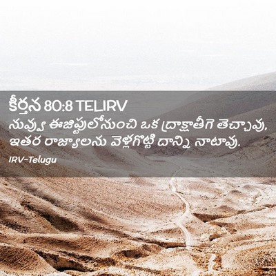 Picture 02 - కీర్తన 80:8 TELIRV - నువ్వు - Bible Verse Picture