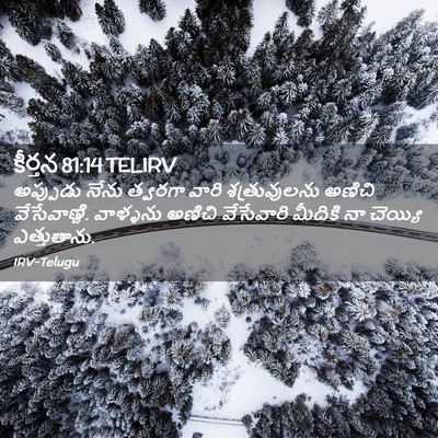Picture 02 - కీర్తన 81:14 TELIRV - అప్పుడు నేను - Bible Verse Picture