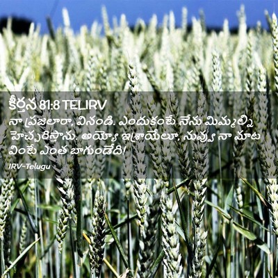 Picture 02 - కీర్తన 81:8 TELIRV - నా ప్రజలారా, - Bible Verse Picture