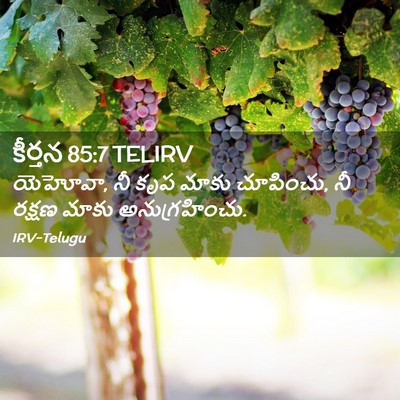 Picture 02 - కీర్తన 85:7 TELIRV - యెహోవా, నీ కృప మాకు - Bible Verse Picture