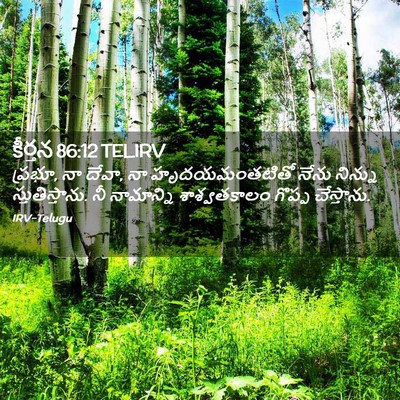 Picture 02 - కీర్తన 86:12 TELIRV - ప్రభూ, నా దేవా, నా - Bible Verse Picture