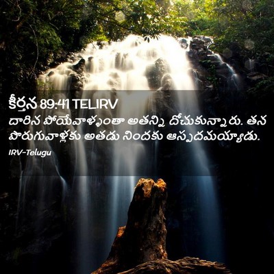 Picture 02 - కీర్తన 89:41 TELIRV - దారిన - Bible Verse Picture