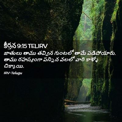 Picture 02 - కీర్తన 9:15 TELIRV - జాతులు తాము - Bible Verse Picture