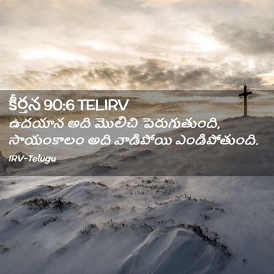 Picture 02 - కీర్తన 90:6 TELIRV - ఉదయాన అది మొలిచి - Bible Verse Picture