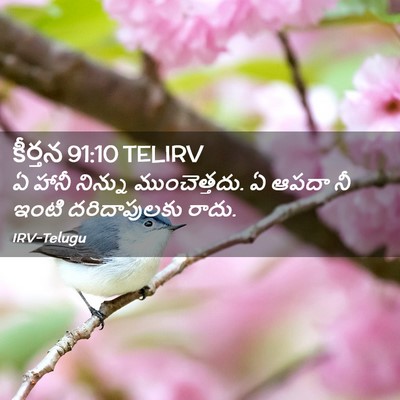 Picture 02 - కీర్తన 91:10 TELIRV - ఏ హానీ నిన్ను - Bible Verse Picture
