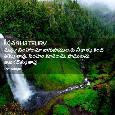 Picture 02 - కీర్తన 91:13 TELIRV - నువ్వు సింహాలనూ - Bible Verse Picture
