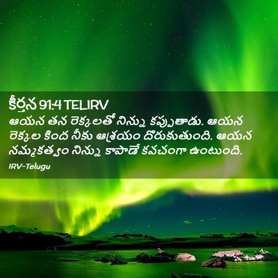Picture 02 - కీర్తన 91:4 TELIRV - ఆయన తన రెక్కలతో - Bible Verse Picture