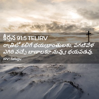 Picture 02 - కీర్తన 91:5 TELIRV - రాత్రిలో కలిగే - Bible Verse Picture