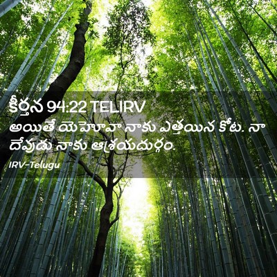 Picture 02 - కీర్తన 94:22 TELIRV - అయితే యెహోవా నాకు - Bible Verse Picture