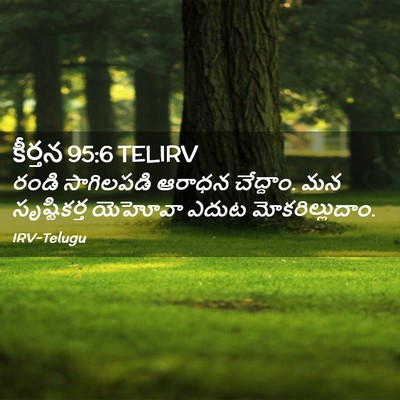 Picture 02 - కీర్తన 95:6 TELIRV - రండి సాగిలపడి - Bible Verse Picture
