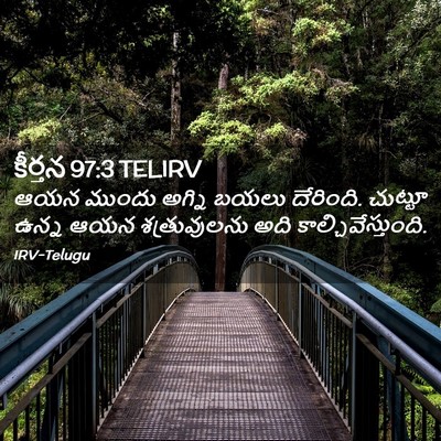 Picture 02 - కీర్తన 97:3 TELIRV - ఆయన ముందు అగ్ని - Bible Verse Picture