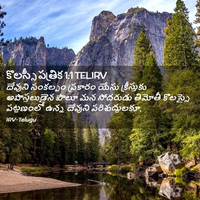 Picture 02 - కొలస్సీ పత్రిక 1:1 TELIRV - దేవుని సంకల్పం - Bible Verse Picture
