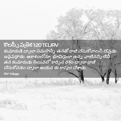 Picture 02 - కొలస్సీ పత్రిక 1:20 TELIRV - కుమారుడి ద్వారా - Bible Verse Picture