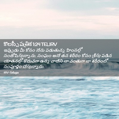 Picture 02 - కొలస్సీ పత్రిక 1:24 TELIRV - ఇప్పుడు మీ కోసం - Bible Verse Picture