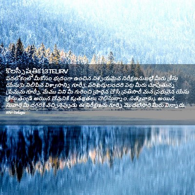 Picture 02 - కొలస్సీ పత్రిక 1:3 TELIRV - పరలోకంలో మీకోసం - Bible Verse Picture