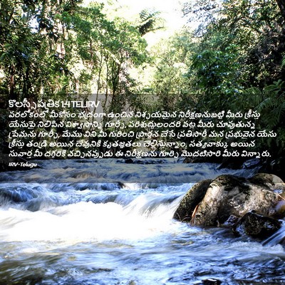 Picture 02 - కొలస్సీ పత్రిక 1:4 TELIRV - పరలోకంలో మీకోసం - Bible Verse Picture