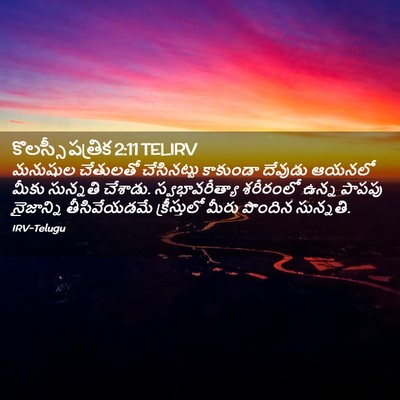 Picture 02 - కొలస్సీ పత్రిక 2:11 TELIRV - మనుషుల చేతులతో - Bible Verse Picture