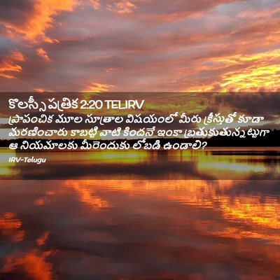Picture 02 - కొలస్సీ పత్రిక 2:20 TELIRV - ప్రాపంచిక మూల - Bible Verse Picture
