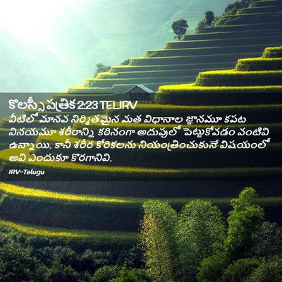 Picture 02 - కొలస్సీ పత్రిక 2:23 TELIRV - వీటిలో మానవ - Bible Verse Picture