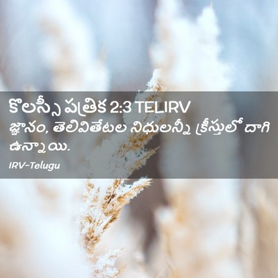 Picture 02 - కొలస్సీ పత్రిక 2:3 TELIRV - జ్ఞానం, - Bible Verse Picture