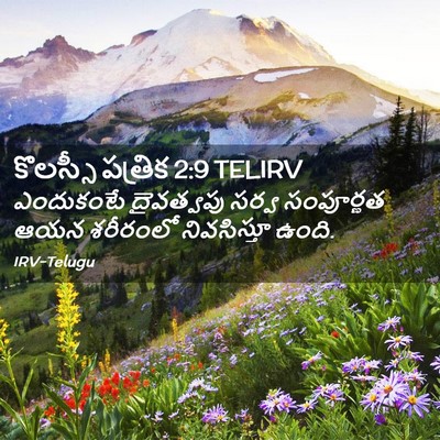 Picture 02 - కొలస్సీ పత్రిక 2:9 TELIRV - ఎందుకంటే దైవత్వపు - Bible Verse Picture