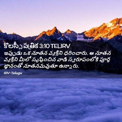 Picture 02 - కొలస్సీ పత్రిక 3:10 TELIRV - ఇప్పుడు ఒక నూతన - Bible Verse Picture