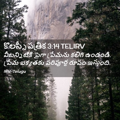 Picture 02 - కొలస్సీ పత్రిక 3:14 TELIRV - వీటన్నిటికి పైగా - Bible Verse Picture