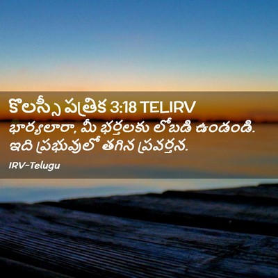 Picture 02 - కొలస్సీ పత్రిక 3:18 TELIRV - భార్యలారా, మీ - Bible Verse Picture