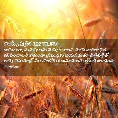 Picture 02 - కొలస్సీ పత్రిక 3:22 TELIRV - దాసులారా, - Bible Verse Picture