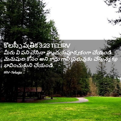 Picture 02 - కొలస్సీ పత్రిక 3:23 TELIRV - మీరు ఏ పని చేసినా - Bible Verse Picture