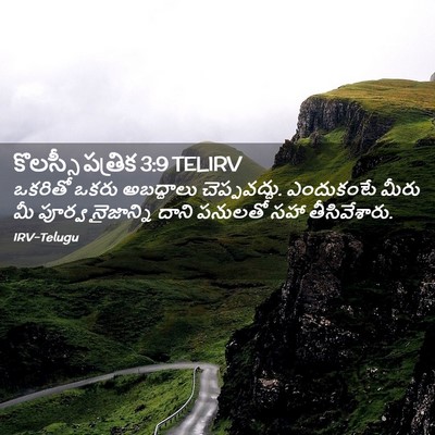 Picture 02 - కొలస్సీ పత్రిక 3:9 TELIRV - ఒకరితో ఒకరు - Bible Verse Picture