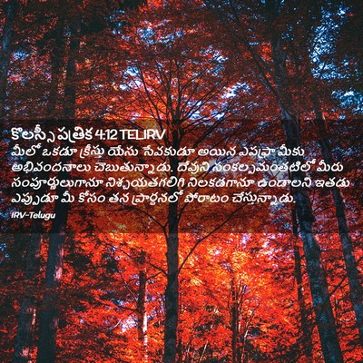 Picture 02 - కొలస్సీ పత్రిక 4:12 TELIRV - మీలో ఒకడూ - Bible Verse Picture