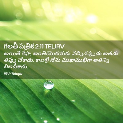 Picture 02 - గలతీ పత్రిక 2:11 TELIRV - అయితే కేఫా, - Bible Verse Picture
