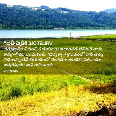 Picture 02 - గలతీ పత్రిక 3:10 TELIRV - ధర్మశాస్త్రం - Bible Verse Picture