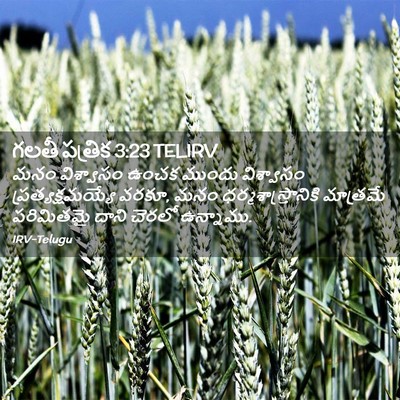 Picture 02 - గలతీ పత్రిక 3:23 TELIRV - మనం విశ్వాసం ఉంచక - Bible Verse Picture
