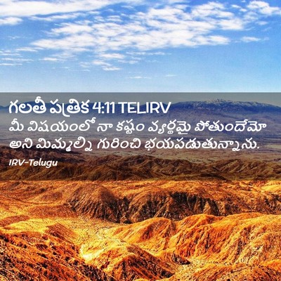 Picture 02 - గలతీ పత్రిక 4:11 TELIRV - మీ విషయంలో నా - Bible Verse Picture