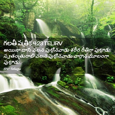 Picture 02 - గలతీ పత్రిక 4:23 TELIRV - అయినా దాసి వలన - Bible Verse Picture