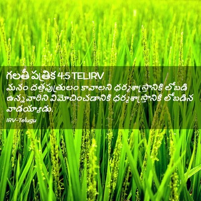 Picture 02 - గలతీ పత్రిక 4:5 TELIRV - మనం దత్తపుత్రులం - Bible Verse Picture