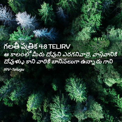 Picture 02 - గలతీ పత్రిక 4:8 TELIRV - ఆ కాలంలో మీరు - Bible Verse Picture
